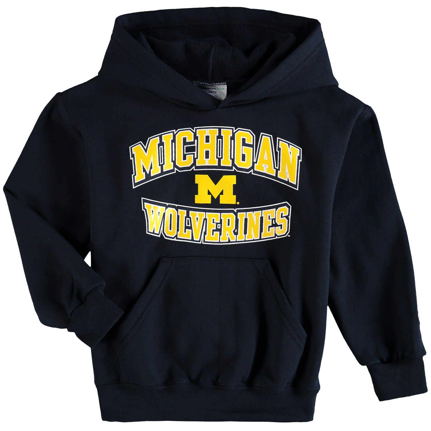 kohl's champion hoodie